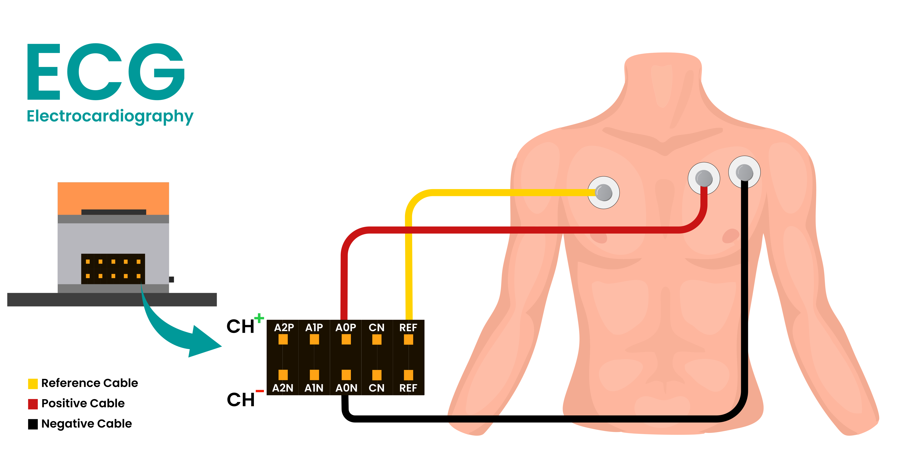 Connection for ECG
