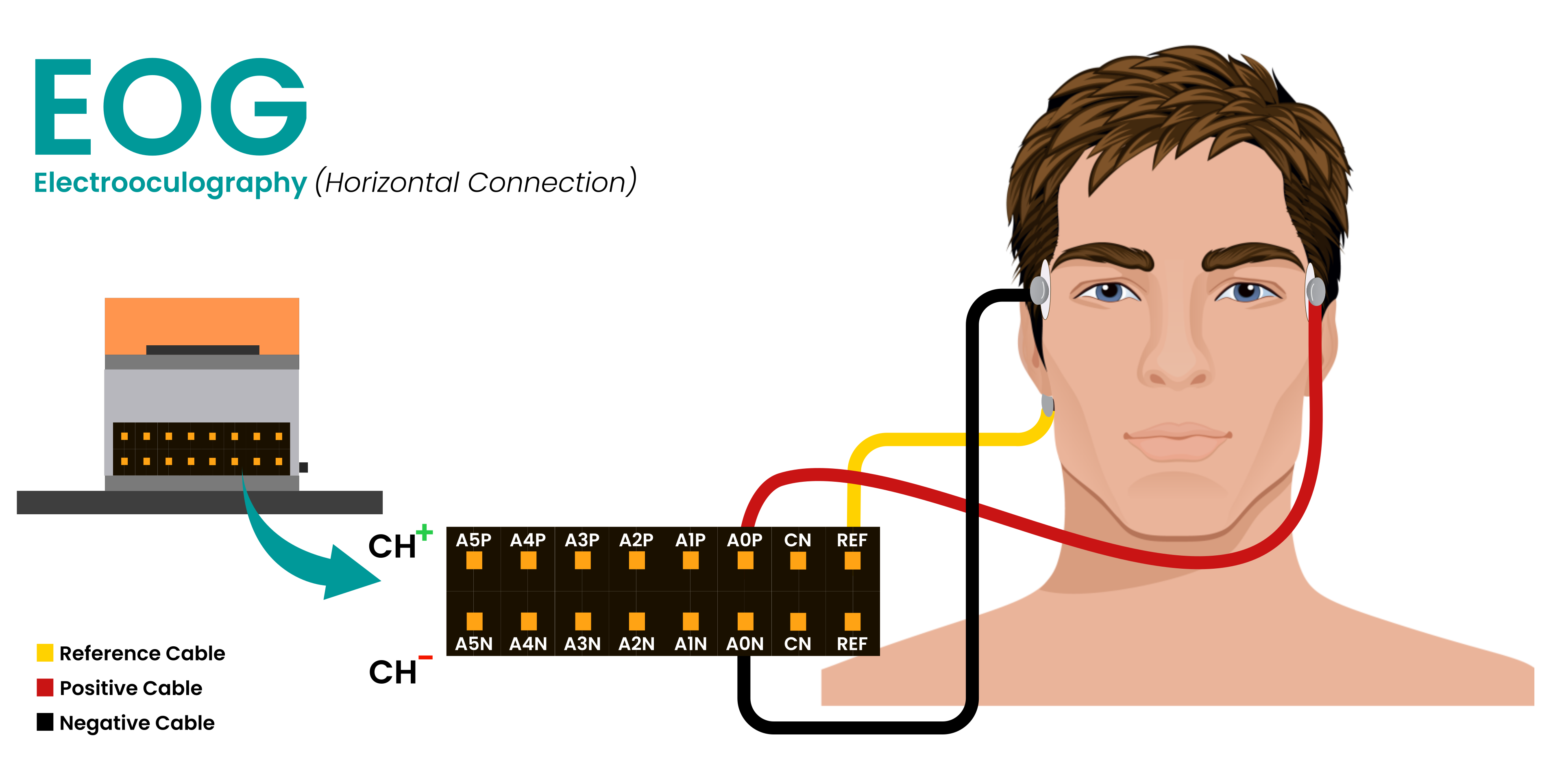 Connection for EOG Horizontal